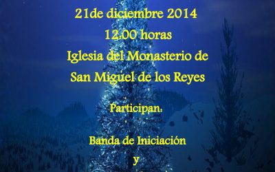Concierto de Navidad 2014